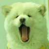 fgnlfnh
