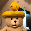 李自成12