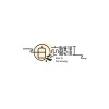 一年四季穿毛裤