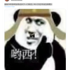 jxc2wsx7ujm