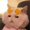 金石