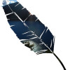 wind9t