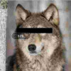 Pinwolfy