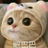 彩色
