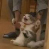 倒修急先鋒