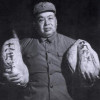 猫胡子的故事