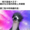 无知者