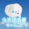 困困海豹