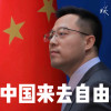 地卫一境外势力