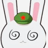 种花兔友