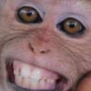 哈里獠