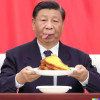 被骗的粉红