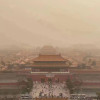 搭不理的