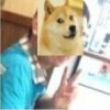 凤瑞涛