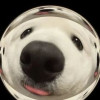 tioui