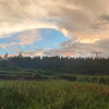 shenhai