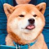 Rocky_Nothing