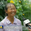 辣手摧花