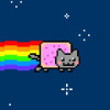 忧郁的猫