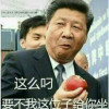 纯白交响曲