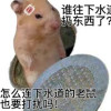 在下水道的鼠人
