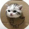 二哥没醉