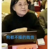 xiaosage2