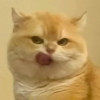 我是阿年