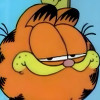 地狱肥猫