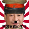 天剎星毛刃支