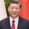 坚持当皇帝的小丑