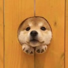 gfdhdfs