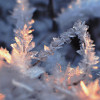 雪花勇士