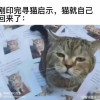 捏嘿