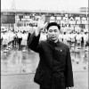 蝶难来