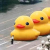 总裁