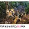 抓哏宝