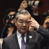 王毅公公造反