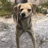 我爱看