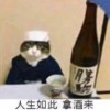 丁仪林云陈博士