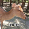 不支