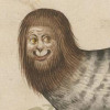 魏大勋人