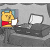 拉萨猫