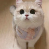 Anna_1016