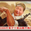 匀迈迈伞