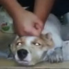 吕洞宾