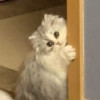 蓬莱山海霞