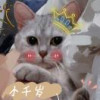 奉天腾逸
