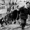 农民上桌
