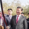 徐静萍